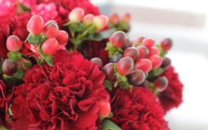image montrant des fleurs rouges avec des bourgeons