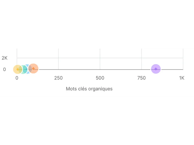 indexations des mots-clés du site client 